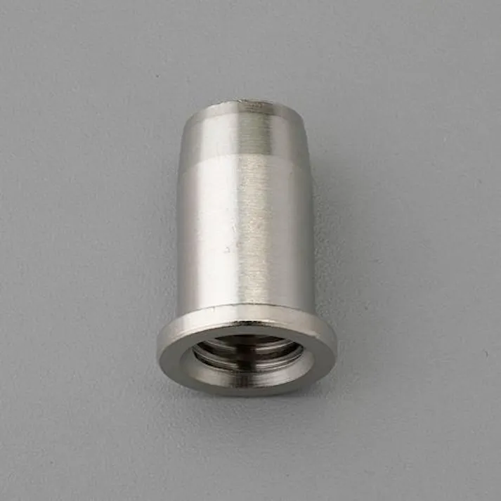ESCO 打込ナット(真鍮/つば付/M10用) EA976CB-45 4550061759639(CDC)【別送品】