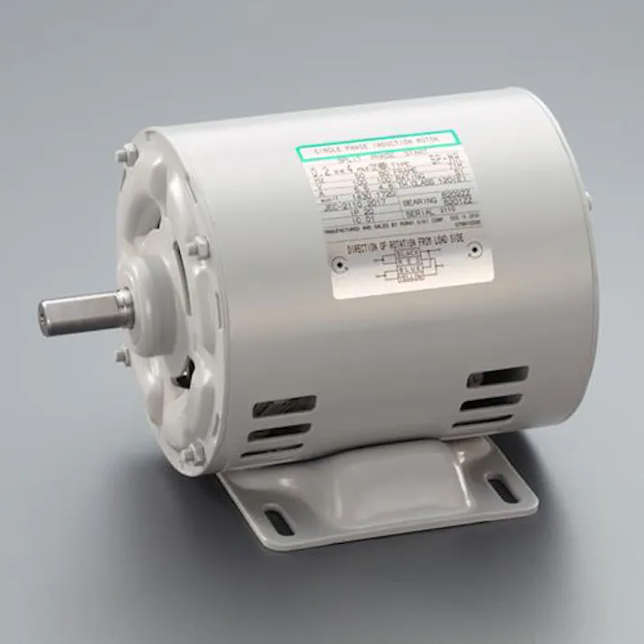 ムライ機器 AC100V・200W 単相モーター(分相始動式) EA968AA-200A 4550061873458(CDC)【別送品】