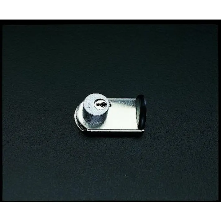 ESCO 窓サッシ補助錠(鍵付) EA983TX-2 4518340402652(CDC)【別送品】