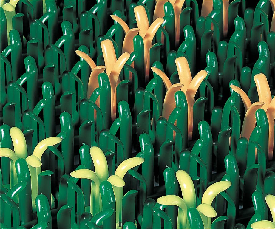 テラモト 足拭きマット(泥落とし) 600x874mm EA997RX-5 4518340613409