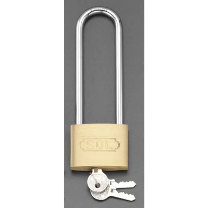 ESCO 35mm シリンダー錠(ステンレス製ツル 50mm吊長) EA983TC-62 4518340638761(CDC)【別送品】