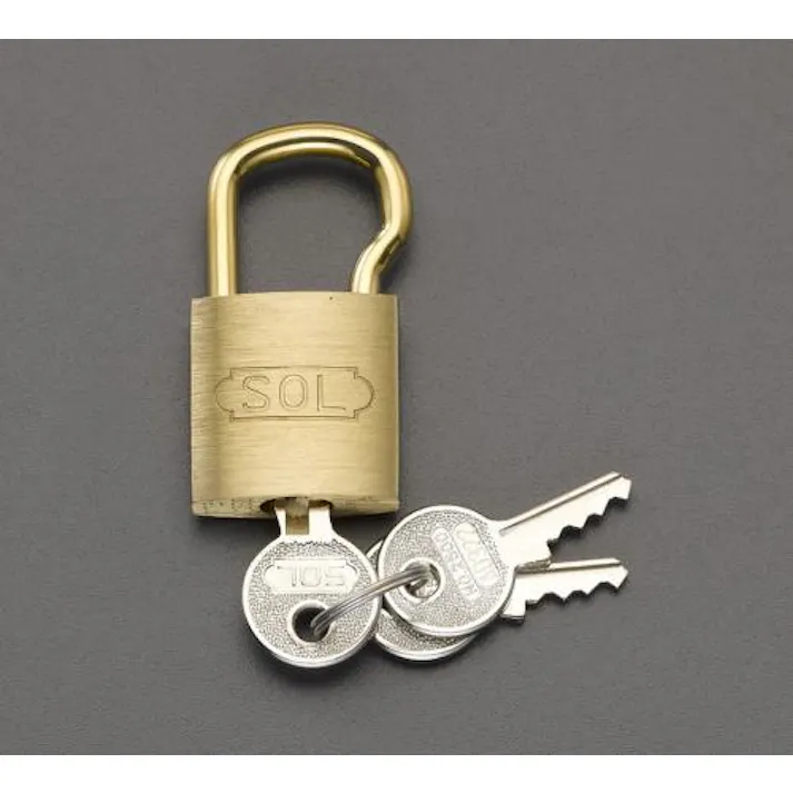 ESCO 25mm シリンダー錠(18mm吊長/同一キー) EA983TC-73 4518340638860(CDC)【別送品】