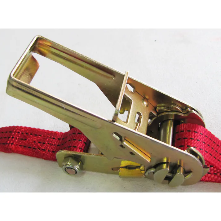 ベルト荷締機(ラチェット式) 25mmx5.0m/200kg EA982B-1 4518340776906【別送品】