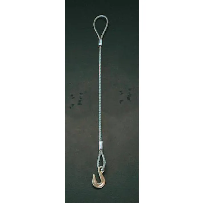 スリーエッチ 1.0ton x 2.0m フック付ワイヤー EA981WR-2 4518340886971(CDC)【別送品】