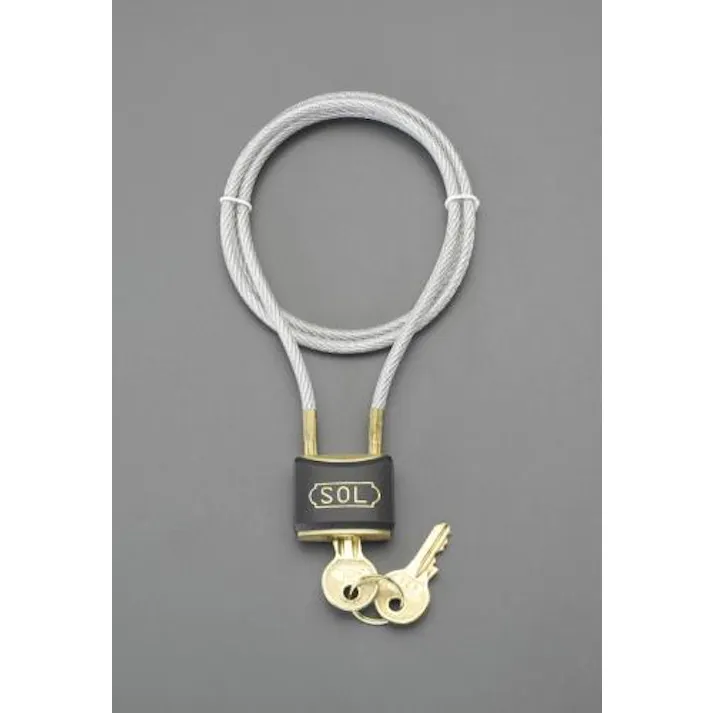 ESCO 750mm ワイヤー錠 EA983TT-151 4548745280074(CDC)【別送品】
