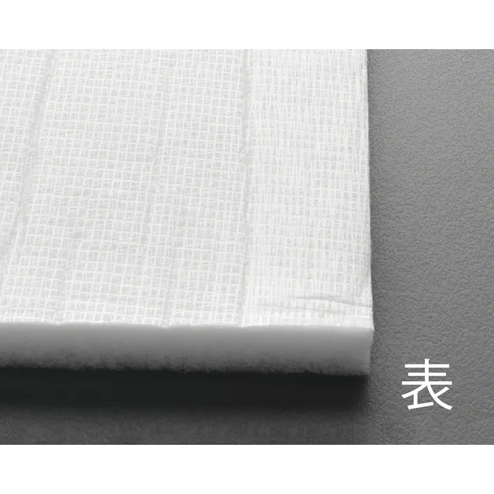 ESCO 610×610×19mm エアフィルター/PA305(2枚) EA997PD-9 4548745453980(CDC)【別送品】