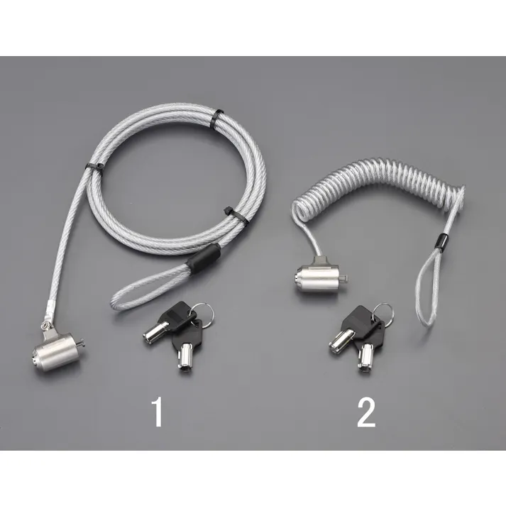 サンワサプライ φ4.2mmx0.3-1.9m パソコンセキュリティワイヤー EA983TS-2 4548745489491(CDC)【別送品】