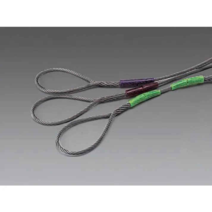 ESCO 9mmx2.5m ワイヤースリング EA981WC-14 4548745637533(CDC)【別送品】