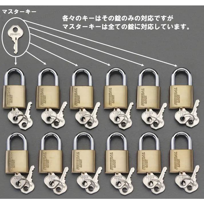 南京錠(マスターキー付/12個組) 30mm EA983SH-130M 4548745650440【別送品】