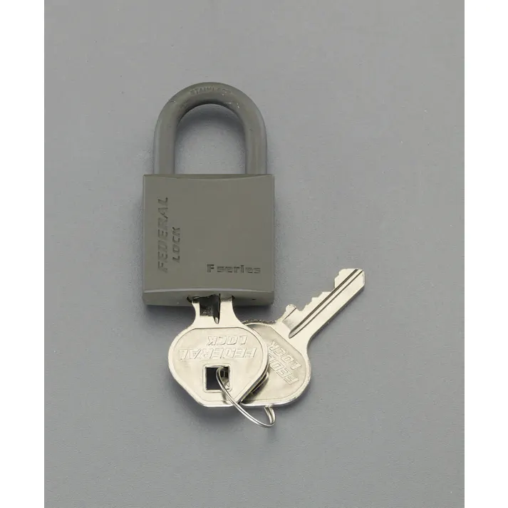 ESCO 30mm シリンダー南京錠(OD色) EA983SG-230 4548745724813(CDC)【別送品】