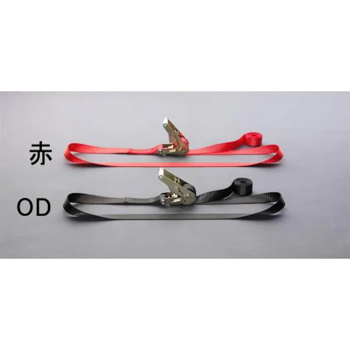 ベルト荷締機(エンドレス/赤) 35mmx4.0m/660kg EA982B-21 4548745755947【別送品】