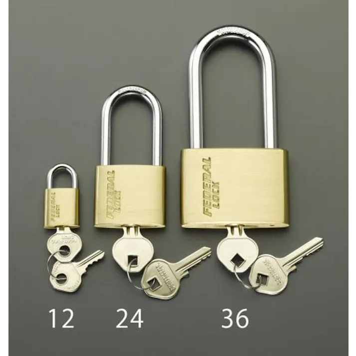 ESCO 30mm シリンダー南京錠(63mm吊長) EA983SG-33 4548745791969(CDC)【別送品】