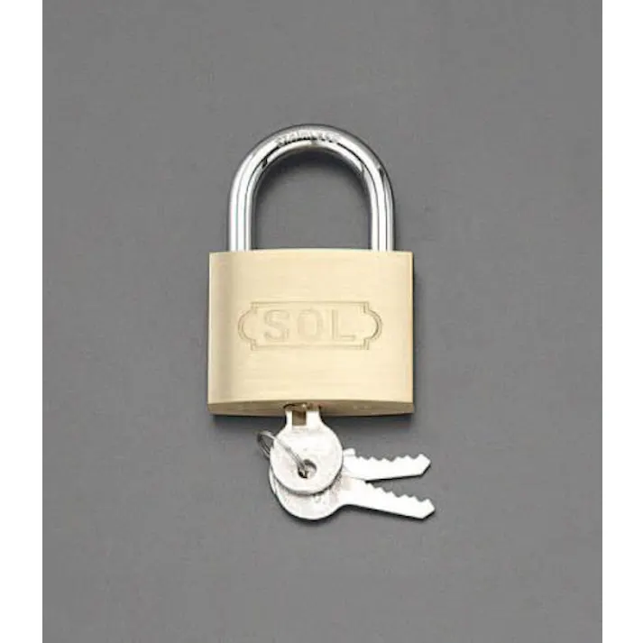 ESCO 60mm シリンダー錠(ステンレス製ツル/同一キー) EA983TC-157 4548745813258(CDC)【別送品】