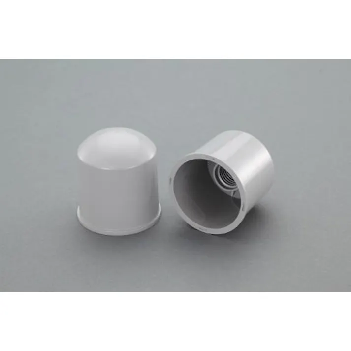 ESCO M24・W1" アンカーボルト・ナット用保護キャップ(2個) EA983FM-124 4548745988253(CDC)【別送品】