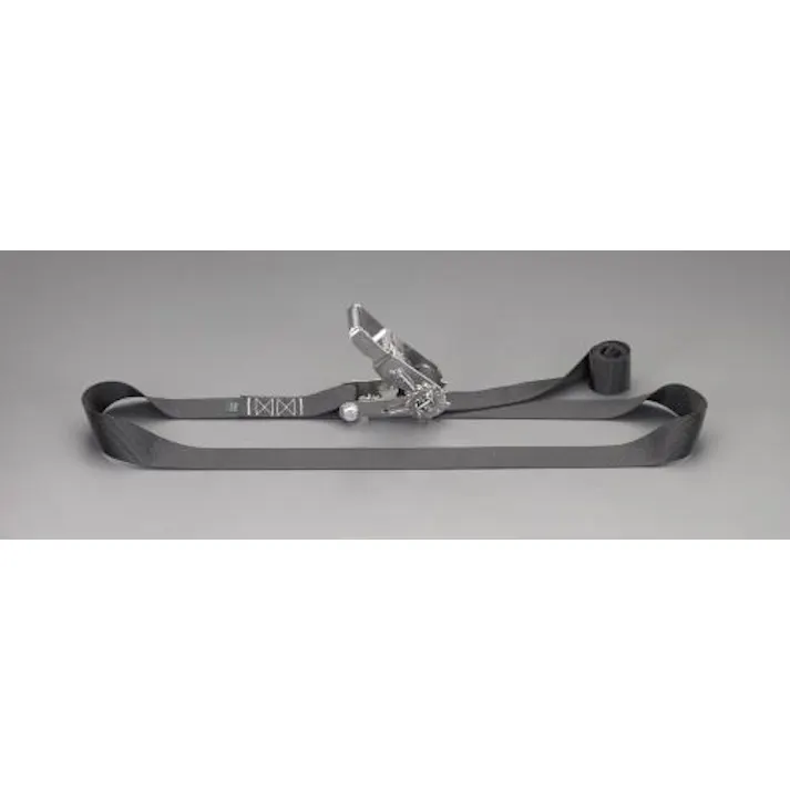 ESCO 50mmx3m/750kg ベルト荷締機(ラチェット式) EA982BB-73 4550061064948(CDC)【別送品】