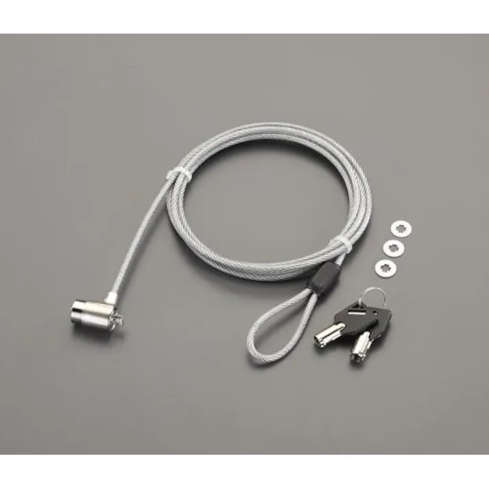 サンワサプライ 2.0m パソコンセキュリティワイヤー EA983TS-5 4550061076323(CDC)【別送品】