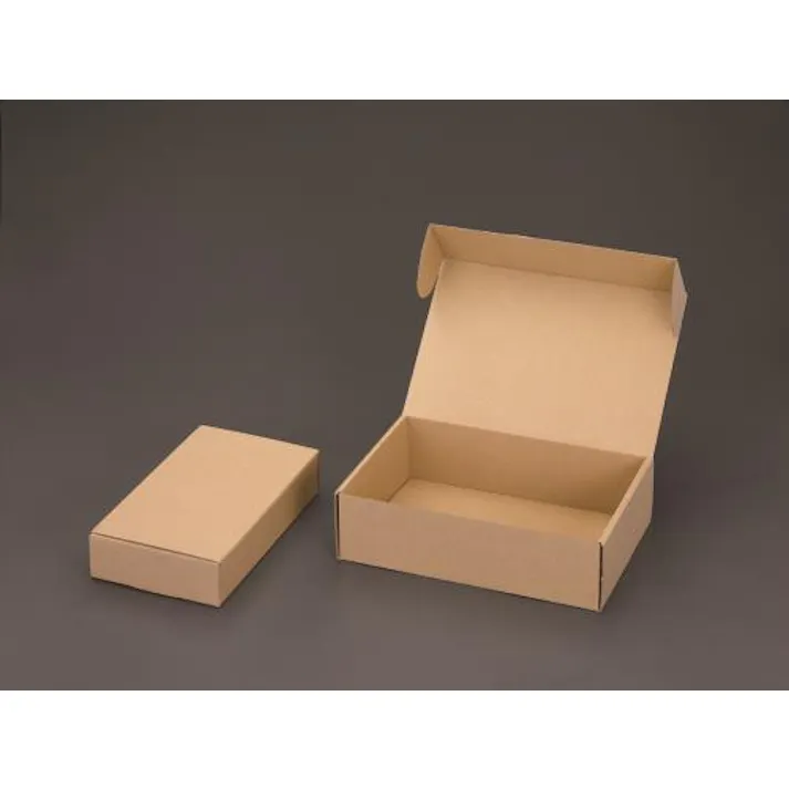 ESCO 120x200x 70mm 収納ボックス(無地/10枚) EA995BS-1 4550061222577(CDC)【別送品】