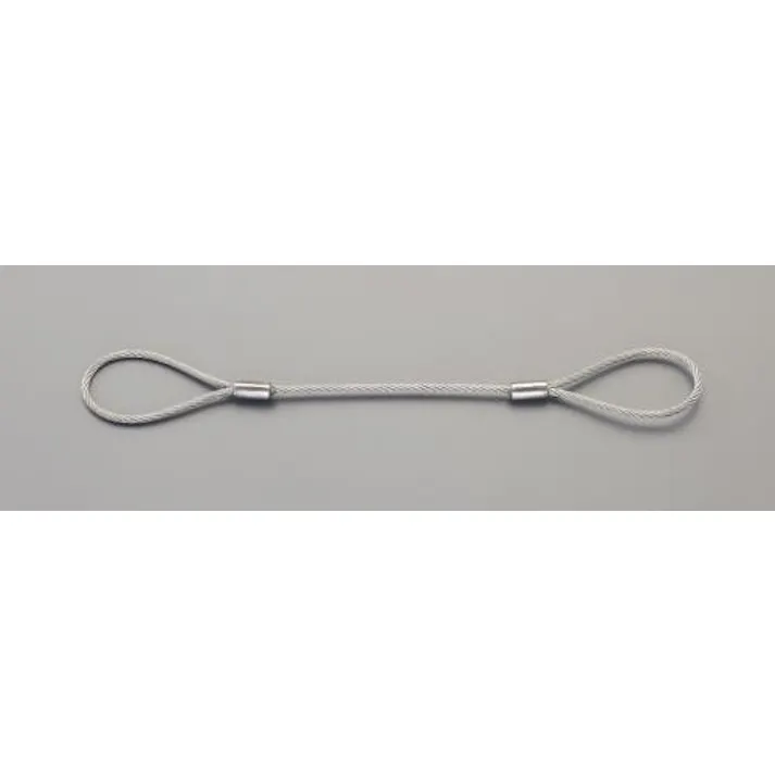 ESCO 10mmx1.0m ワイヤースリング(ステンレス製) EA981WD-71 4550061392874(CDC)【別送品】