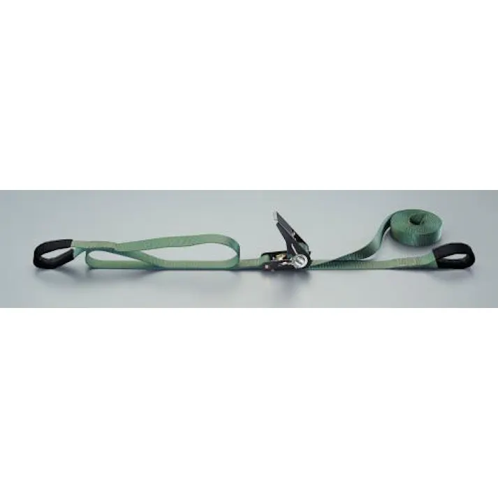 ESCO 25mmx6.0m/230kg ベルト荷締機(ラチェット式/OD) EA982BA-101 4550061393642(CDC)【別送品】