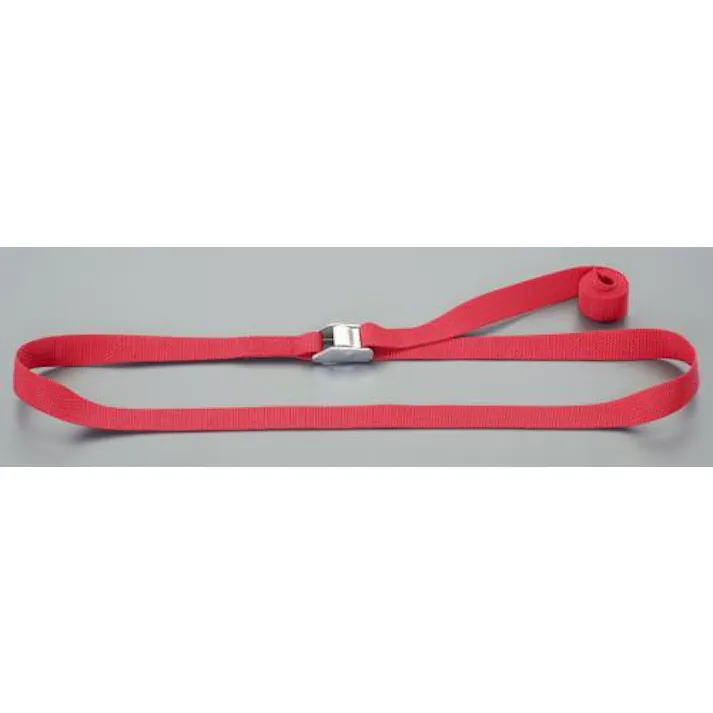 ESCO 25mmx2.0m 荷締ストラップ(ステンレス製/カム式/赤) EA982BA-112 4550061393673(CDC)【別送品】