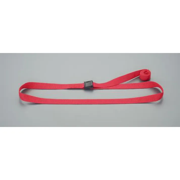 ESCO 25mmx2.0m 荷締ストラップ(赤) EA982BA-122 4550061393703(CDC)【別送品】