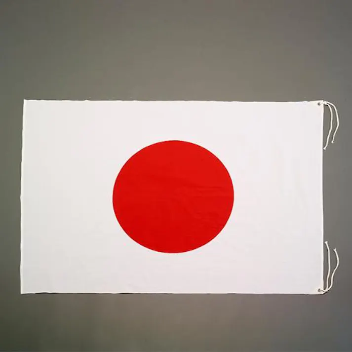 ESCO 1300x 900mm 国旗(綿) EA983JP-52 4550061455029(CDC)【別送品】