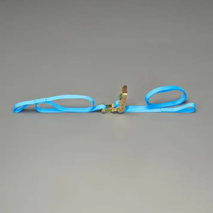 ベルト荷締機(ラチェット式) 25mmx5.0m/250kg EA982AB-4 4550061501047【別送品】