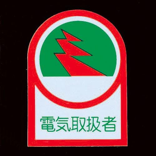 ESCO  35x25mm ヘルメットステッカー(電気取扱者/2枚) EA983AN-6A 4550061690796(CDC)【別送品】