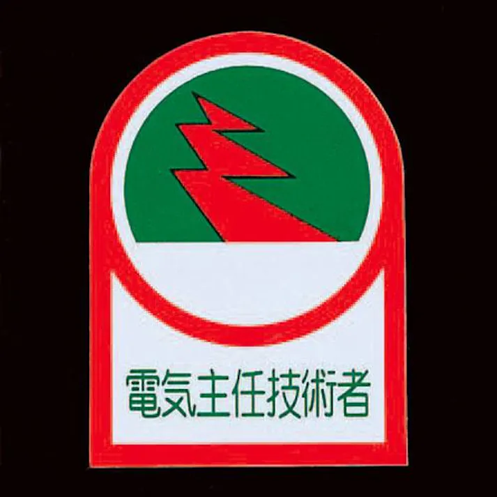ESCO 35x25mm ヘルメットステッカー(電気主任技術者/2枚) EA983AN-8A 4550061690819(CDC)【別送品】