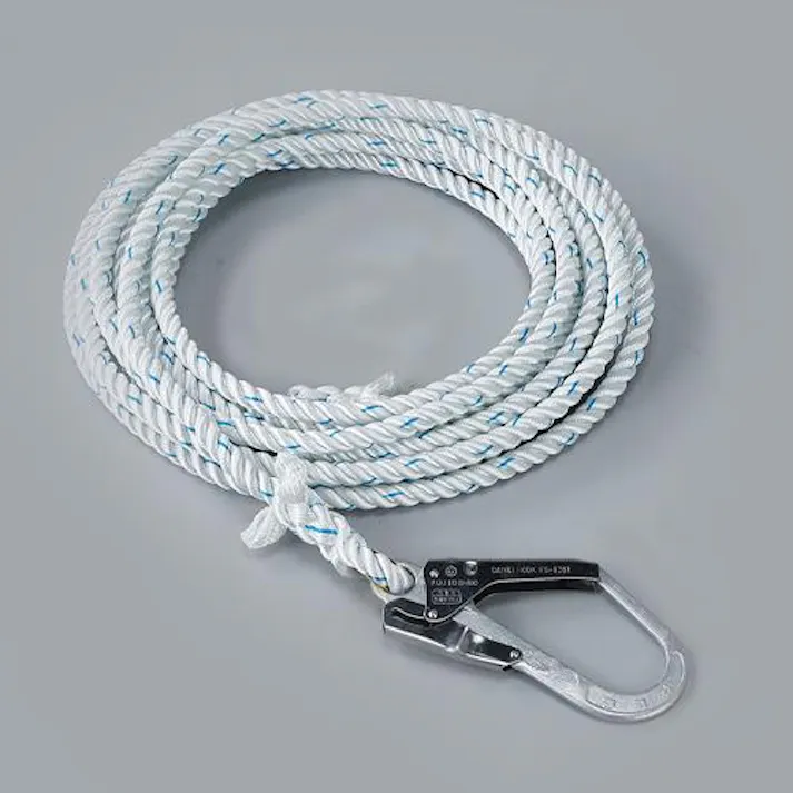 藤井電工 16mmx10m 親綱ロープ(昇降移動用) EA998FE-41 4550061694176(CDC)【別送品】