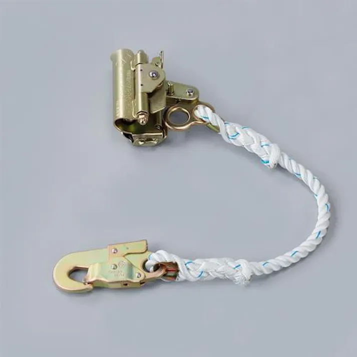 藤井電工 昇降・定位置作業用ロリップ EA998FE-21 4550061696255(CDC)【別送品】