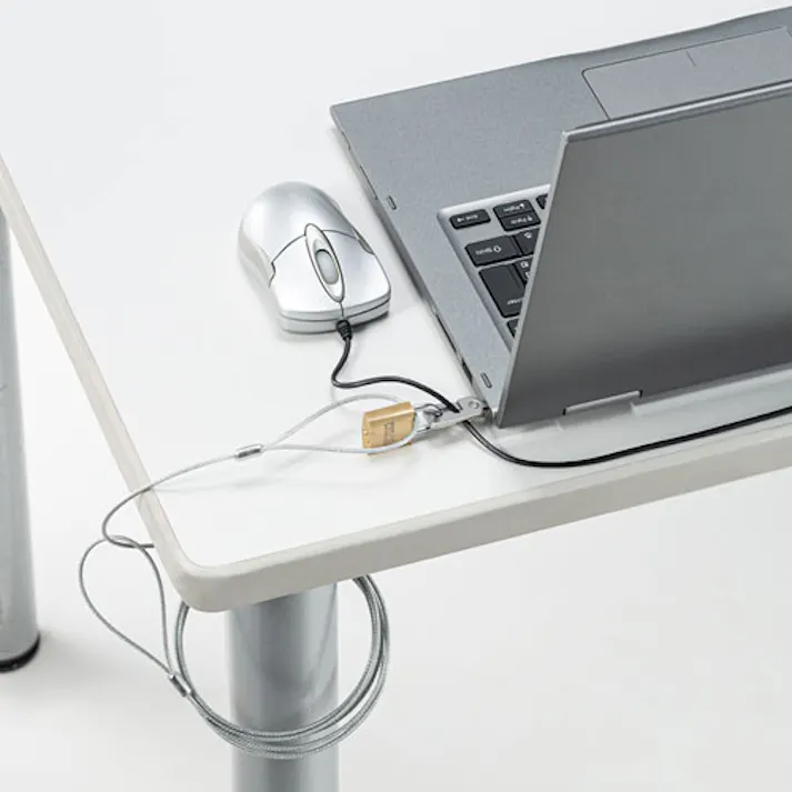 サンワサプライ セキュリティワイヤー(Noble Wedge対応) φ2.2mmx2.0m EA983TS-235 4550061706206【別送品】