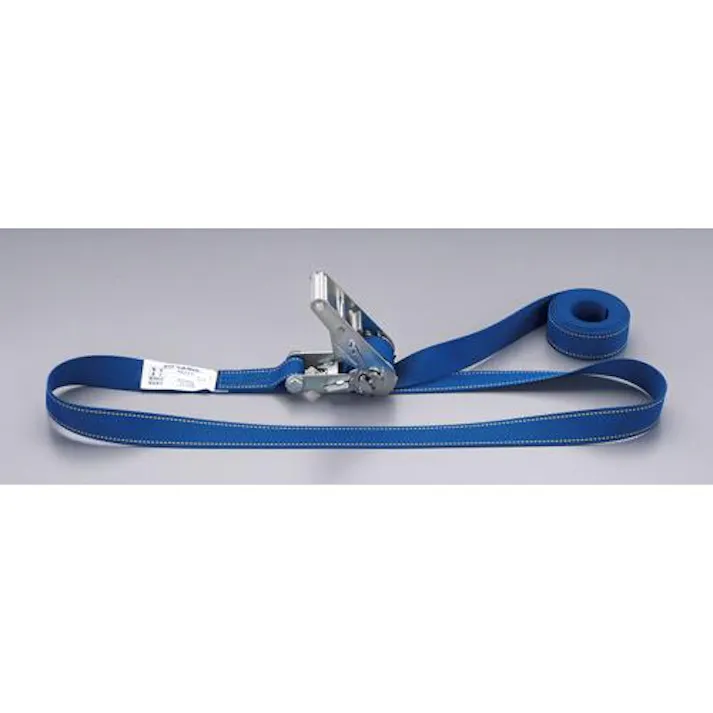 ESCO 50mmx 5.0m/1520kg ベルト荷締機(エンドレス) EA982SB-35 4550061716137(CDC)【別送品】