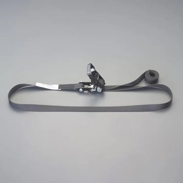 東レインターナショナル(TORAY) ベルト荷締機(エンドレス) 25mmx5.0m/509kg EA982SJ-5 4550061716779【別送品】