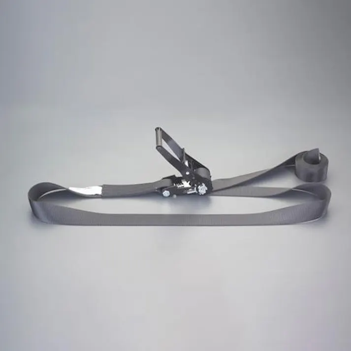 ESCO 50mmx 6.0m/2030kg ベルト荷締機(エンドレス) EA982SJ-46 4550061716823(CDC)【別送品】