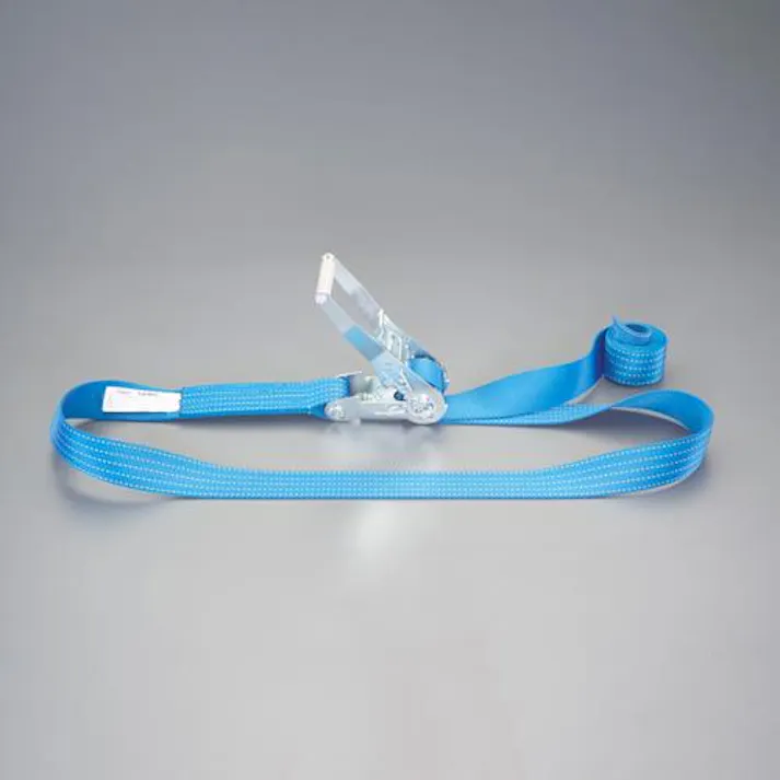 ESCO 50mmx10.0m/2030kg ベルト荷締機(エンドレス) EA982SB-50 4550061716922(CDC)【別送品】