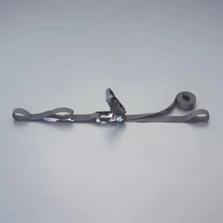 ESCO 25mmx 5.0m/ 254kg ベルト荷締機(両端アイ型) EA982SH-5 4550061717271(CDC)【別送品】