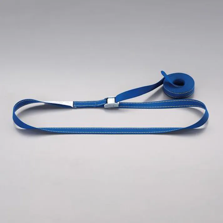 ESCO 25mmx 5.0m/ 152kg 荷締ストラップ(カム式) EA982SG-15 4550061717349(CDC)【別送品】