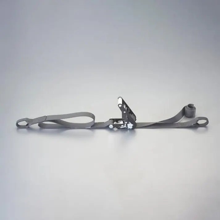ESCO 35mmx 6.0m/ 509kg ベルト荷締機(両端アイ型) EA982SH-16 4550061719107(CDC)【別送品】