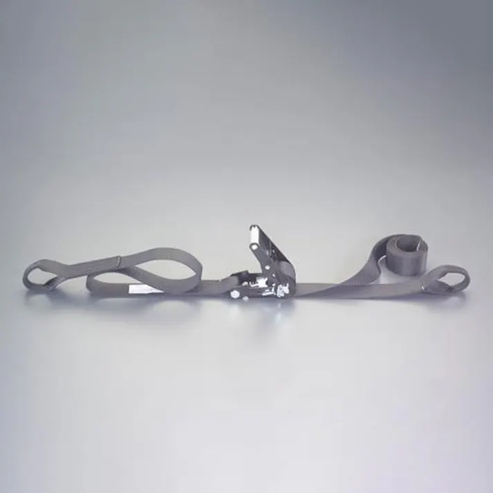 東レインターナショナル(TORAY) ベルト荷締機(両端アイ型) 50mmx7.0m/764kg EA982SH-27 4550061719633【別送品】