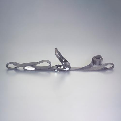 東レインターナショナル(TORAY) ベルト荷締機(両端アイ型) 50mmx5.0m/1010kg EA982SH-35 4550061719671【別送品】