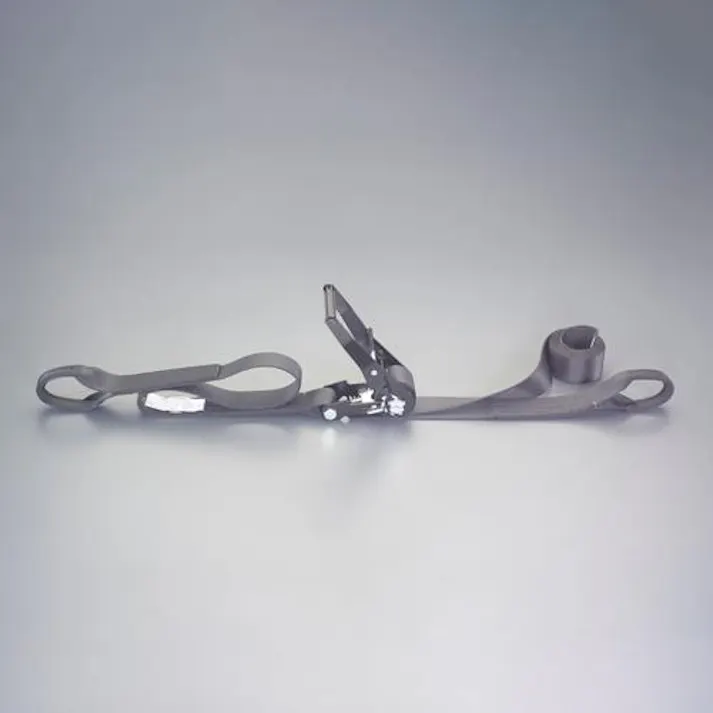 東レインターナショナル(TORAY) ベルト荷締機(両端アイ型) 50mmx5.0m/1010kg EA982SH-35 4550061719671【別送品】