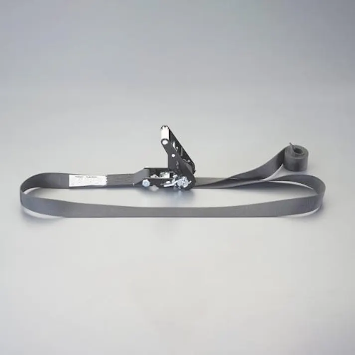 ESCO 35mmx 3.0m/1010kg ベルト荷締機(エンドレス) EA982SJ-13 4550061722398(CDC)【別送品】