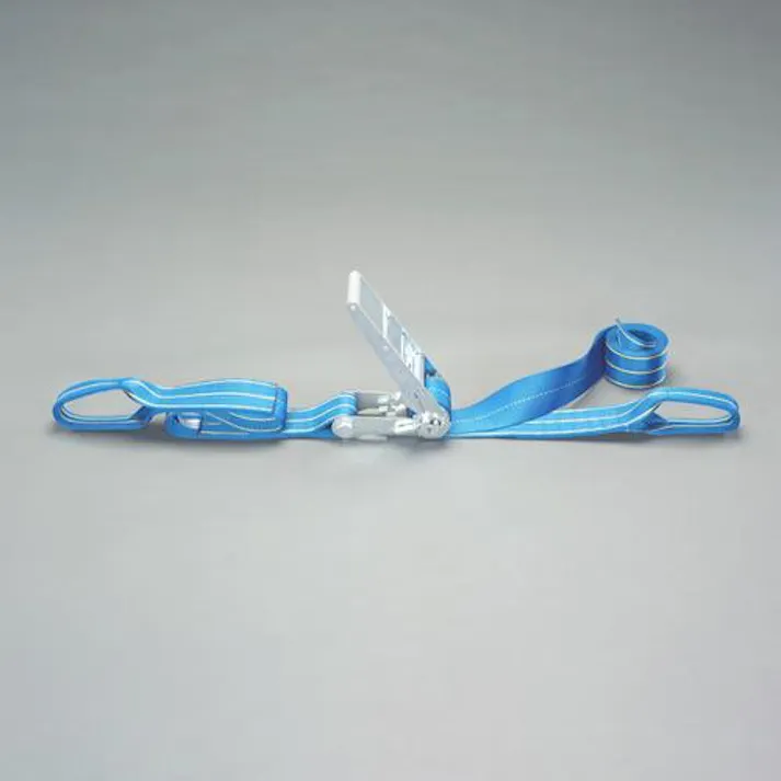 東レインターナショナル(TORAY) ベルト荷締機(両端アイ型) 75mmx9.0m/2540kg EA982SA-59 4550061722503【別送品】