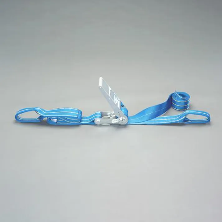 東レインターナショナル(TORAY) ベルト荷締機(両端アイ型) 75mmx12.0m/2540kg EA982SA-62 4550061722879【別送品】