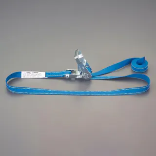 東レインターナショナル(TORAY) ベルト荷締機(エンドレス) 25mmx4.0m/509kg EA982SB-14 4550061722923【別送品】