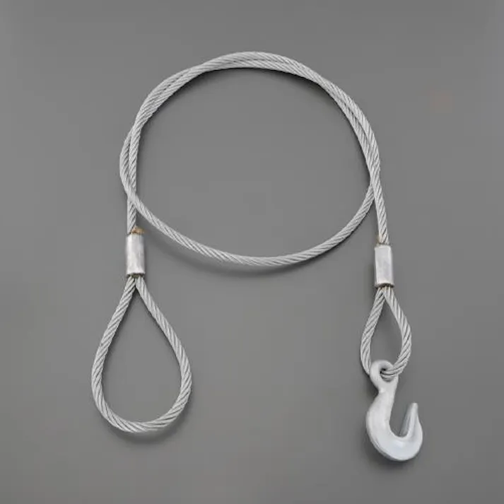 スリーエッチ φ9mmx2.5m 荷締機用フック付ワイヤー EA988XC-2.5 4550061764152(CDC)【別送品】