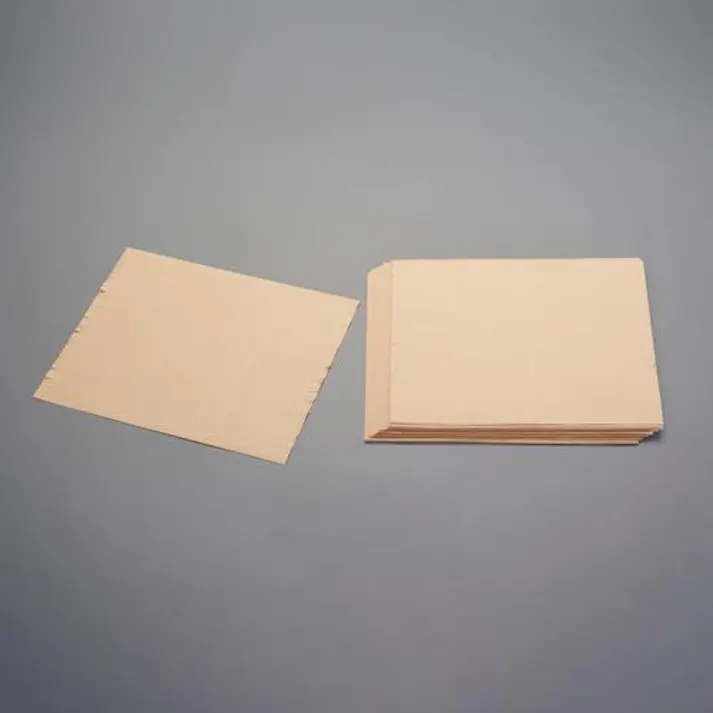 ESCO 250x300mm クッションペーパー(100枚入) EA995BR-20 4550061799512(CDC)【別送品】