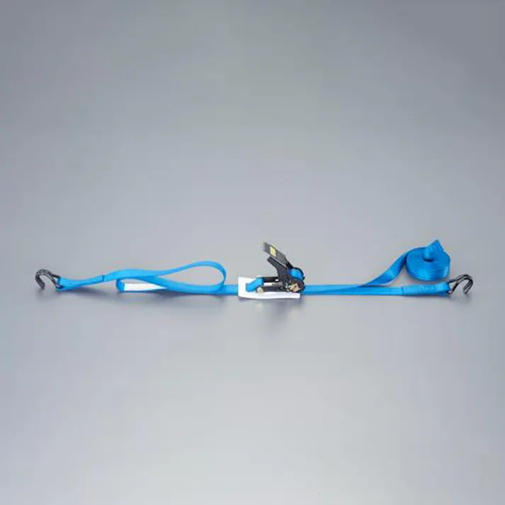 トーヨーセフティー 25mmx 5.0m/ 254kg ベルト荷締機(両端フック型) EA982RG-5 4550061921302(CDC)【別送品】