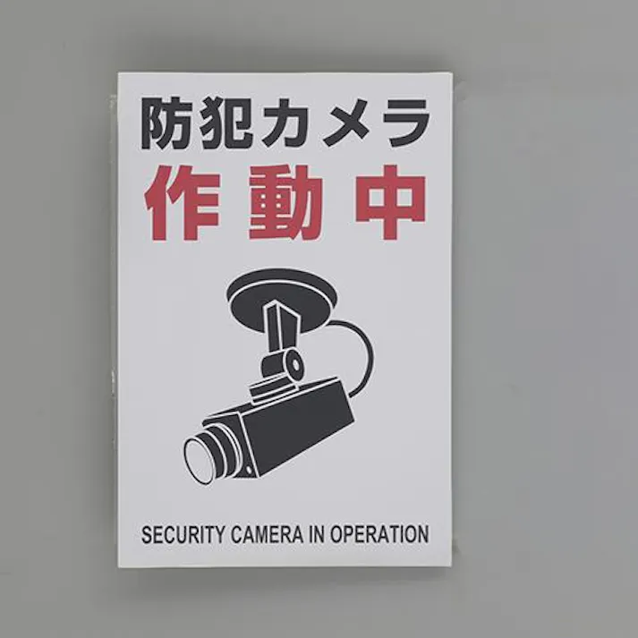 ESCO 220x150mm 防犯用ステッカー(防犯カメラ/2枚) EA983TS-47 4550061929469(CDC)【別送品】